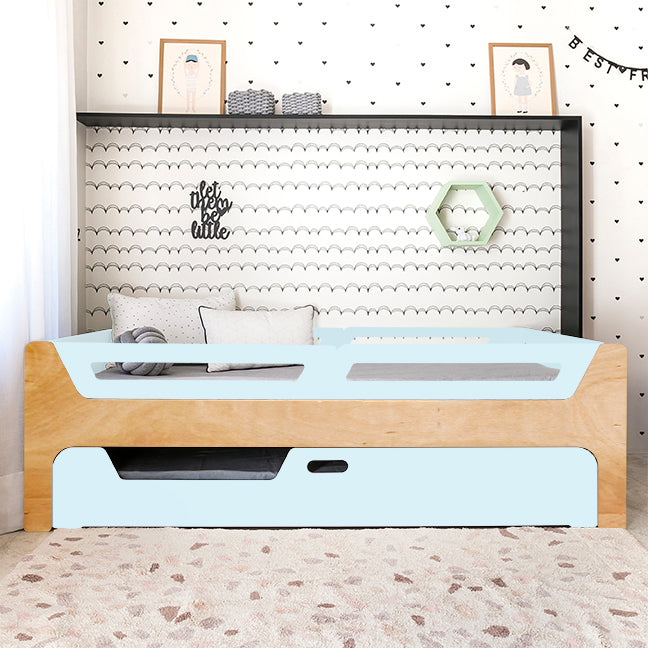 Bicama Anis | Nature | 4 Grades