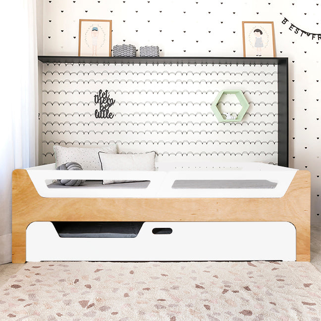 Bicama Anis | Nature | 4 Grades