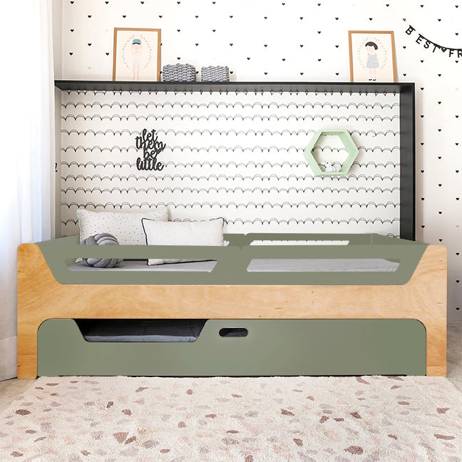 Bicama Anis | Nature | 4 Grades
