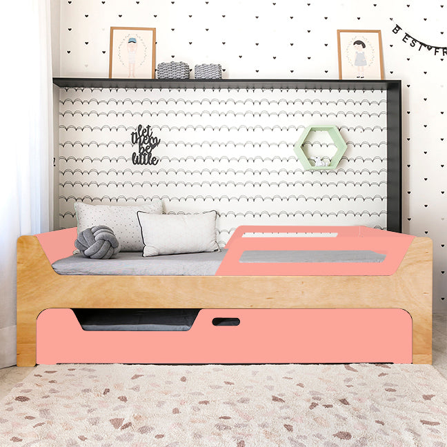 Bicama Anis | Nature | 2 Grades