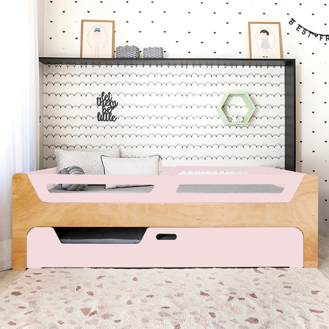 Bicama Anis | Nature | 4 Grades