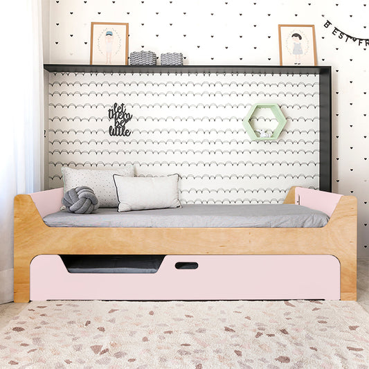 Bicama Anis | Nature | Sem Grades