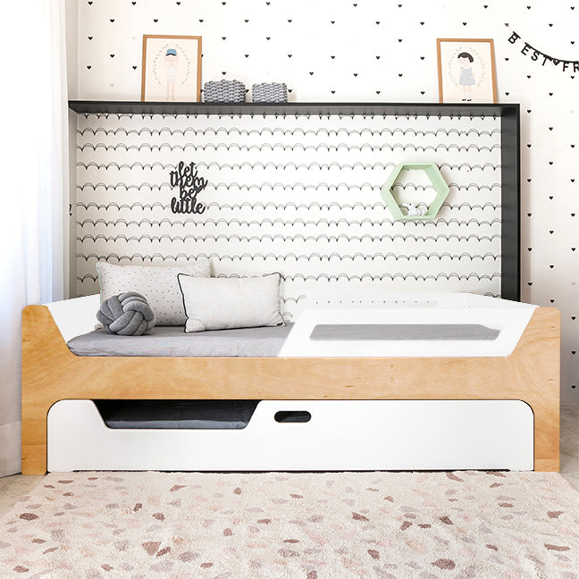 Bicama Anis | Nature | 2 Grades