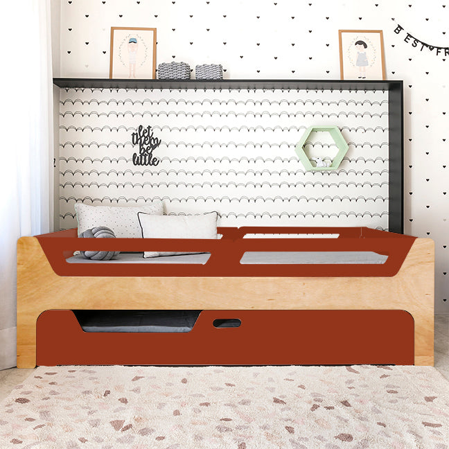 Bicama Anis | Nature | 4 Grades