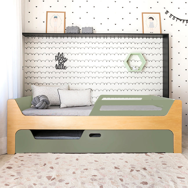 Bicama Anis | Nature | 2 Grades