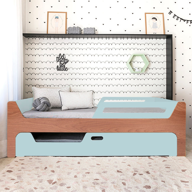 Bicama Anis | Nature | 2 Grades
