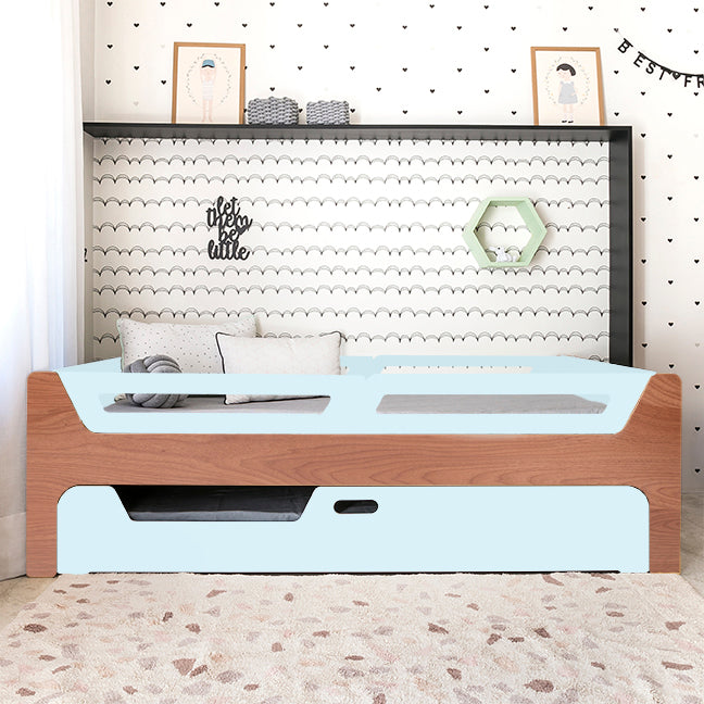 Bicama Anis | Nature | 4 Grades