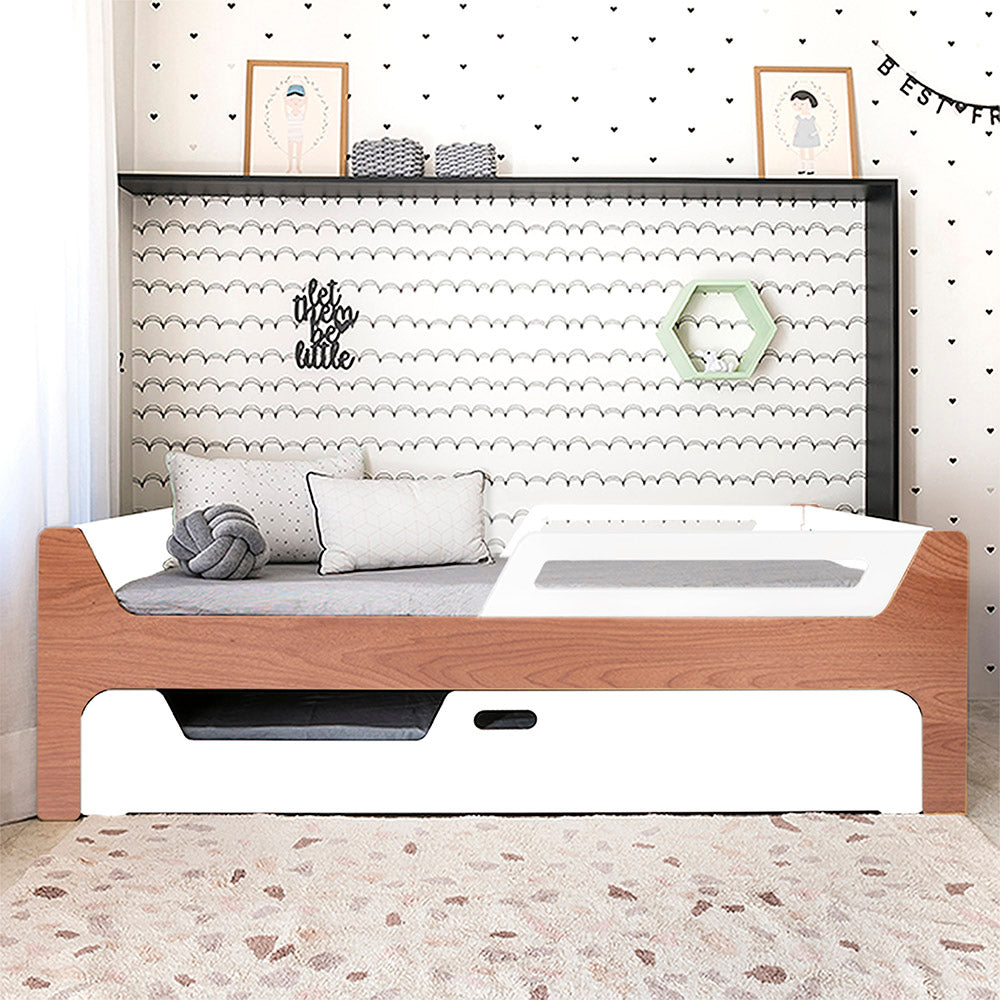 Bicama Anis | Nature | 2 Grades