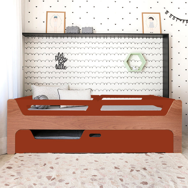 Bicama Anis | Nature | 4 Grades