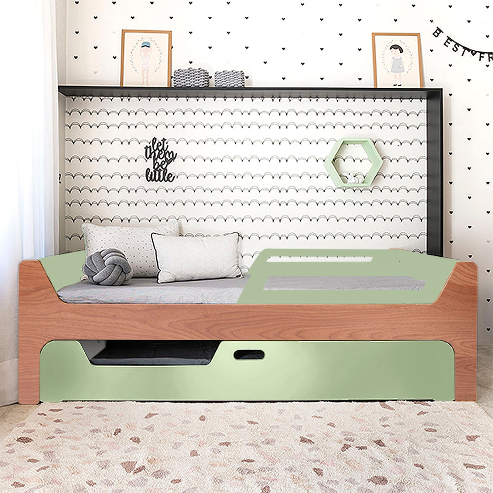 Bicama Anis | Nature | 2 Grades