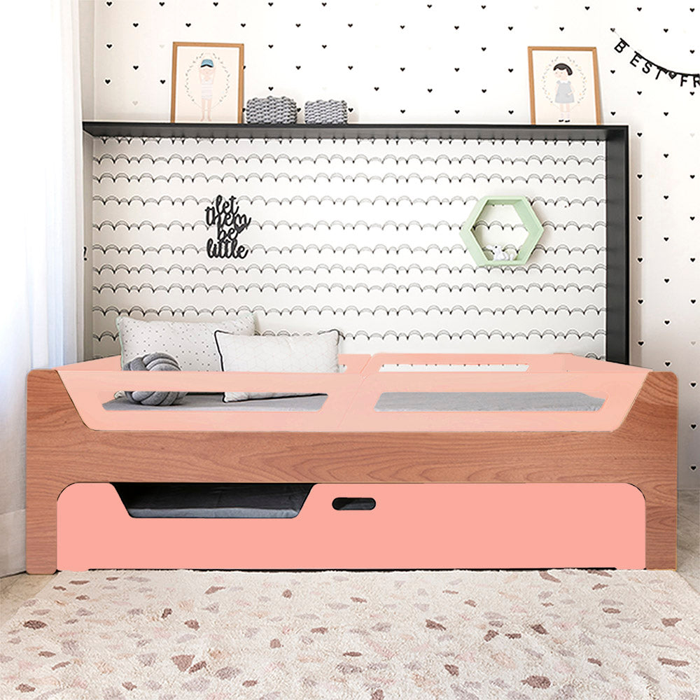 Bicama Anis | Nature | 4 Grades