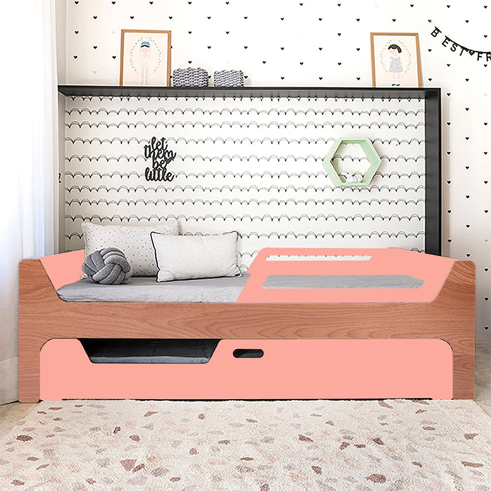 Bicama Anis | Nature | 2 Grades