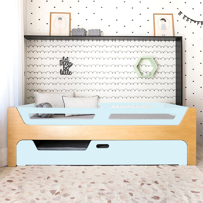 Bicama Anis | Nature | 4 Grades