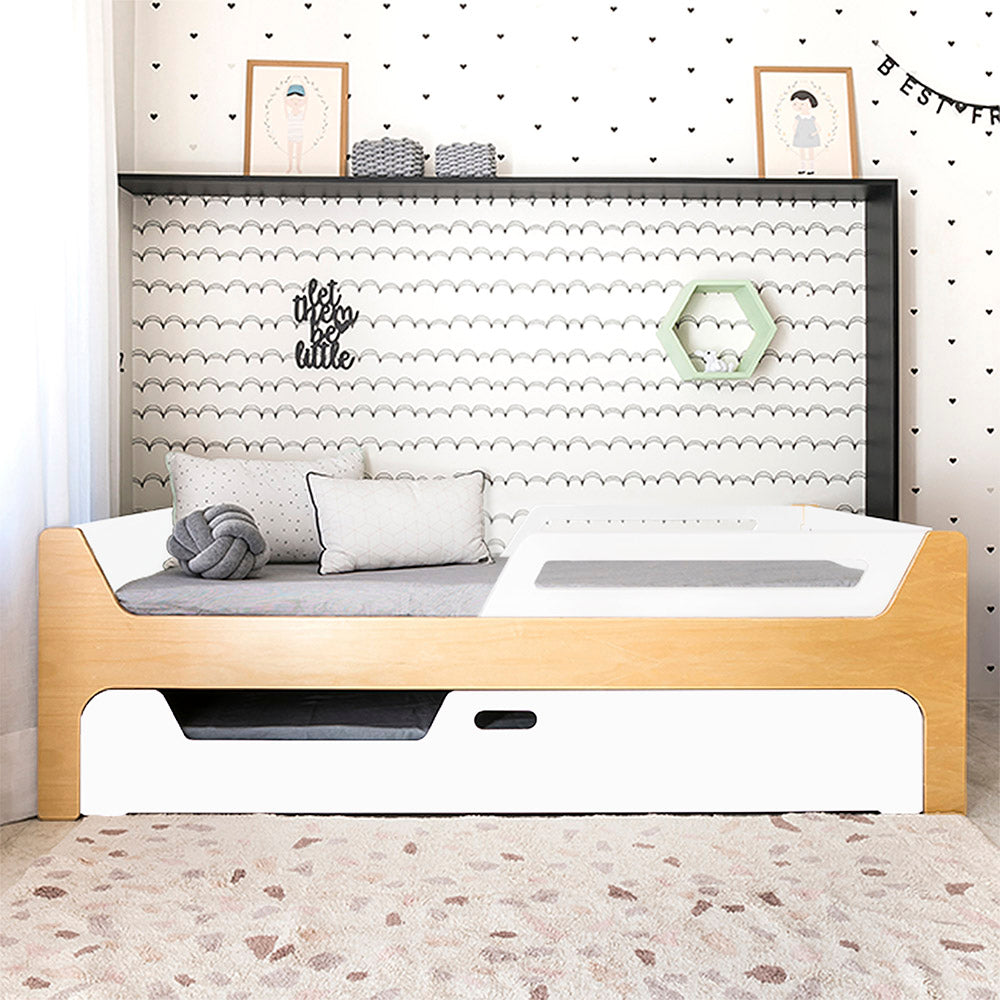 Bicama Anis | Nature | 2 Grades