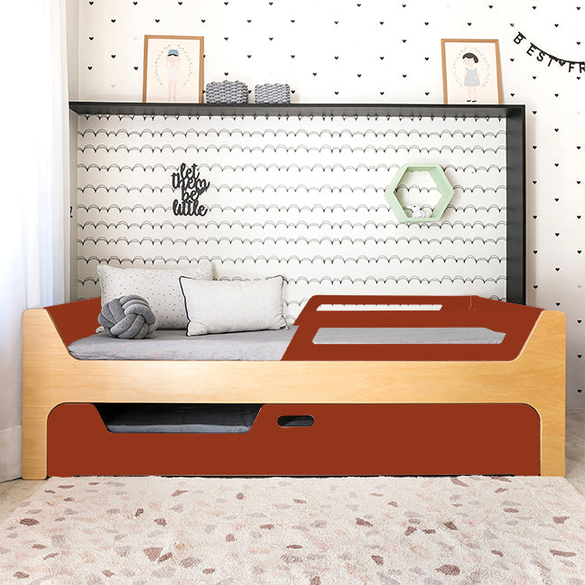 Bicama Anis | Nature | 2 Grades