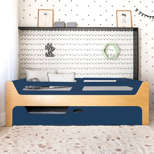 Bicama Anis | Nature | 4 Grades