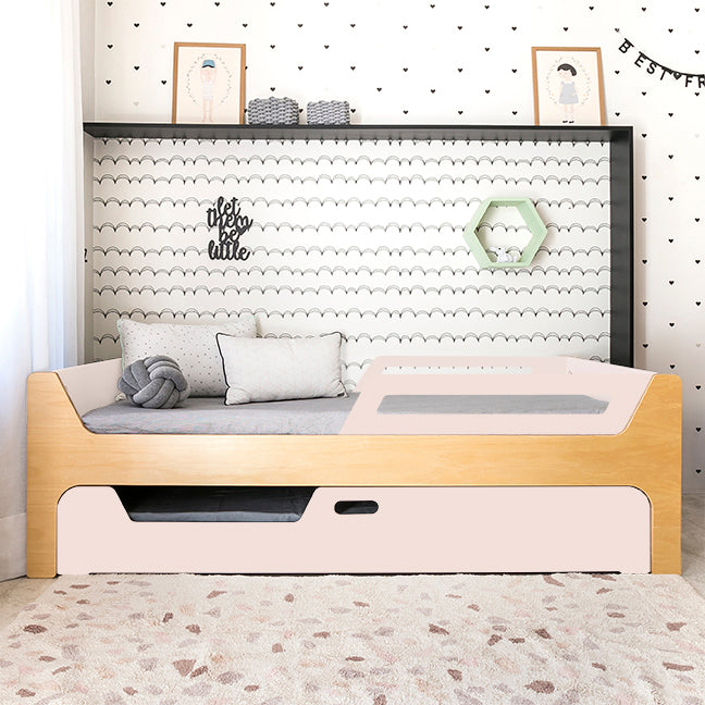 Bicama Anis | Nature | 2 Grades
