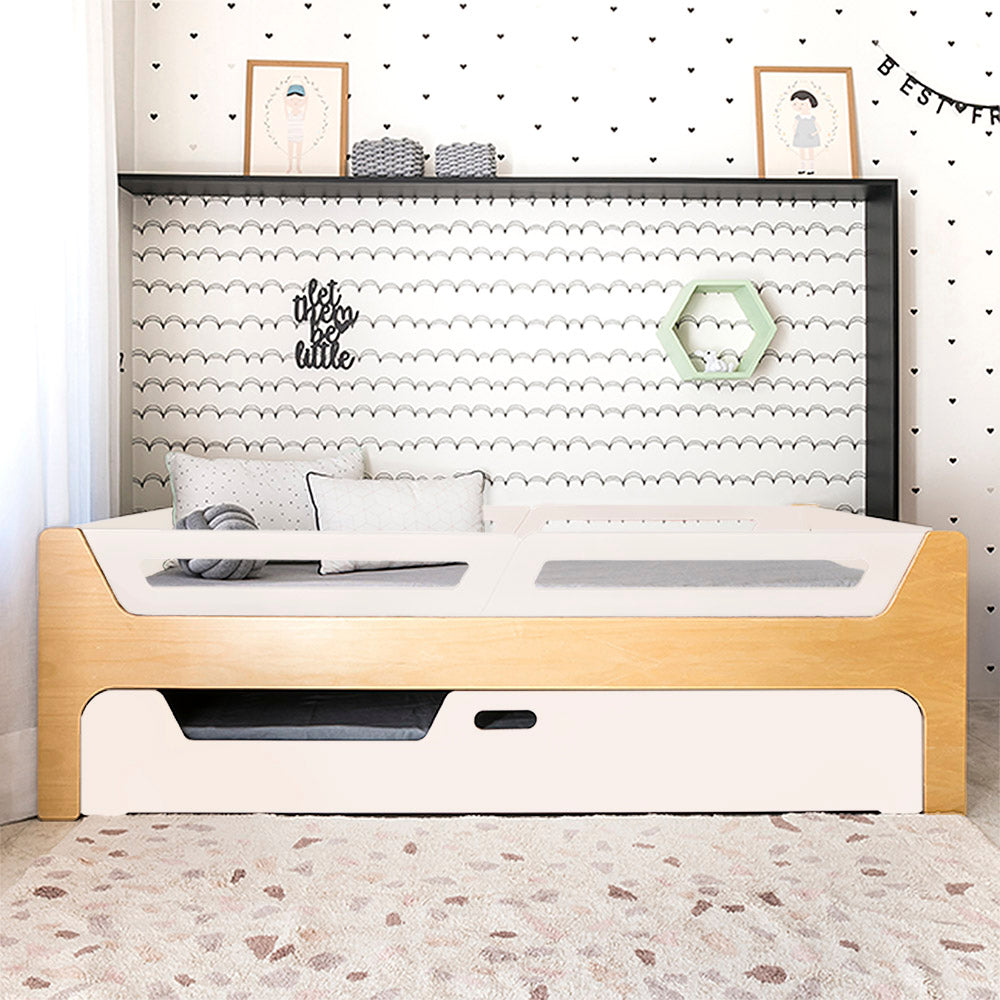 Bicama Anis | Nature | 4 Grades