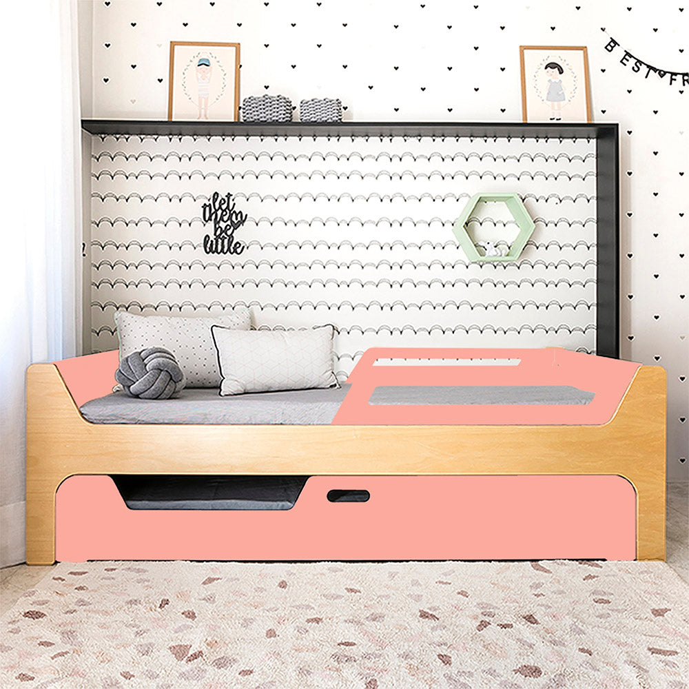 Bicama Anis | Nature | 2 Grades