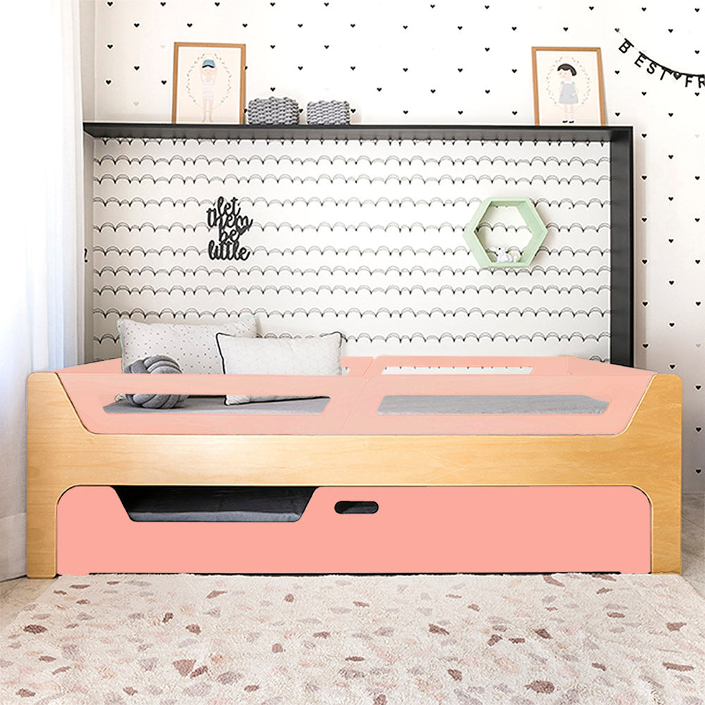 Bicama Anis | Nature | 4 Grades