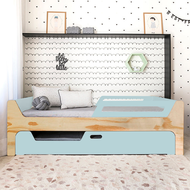 Bicama Anis | Nature | 2 Grades