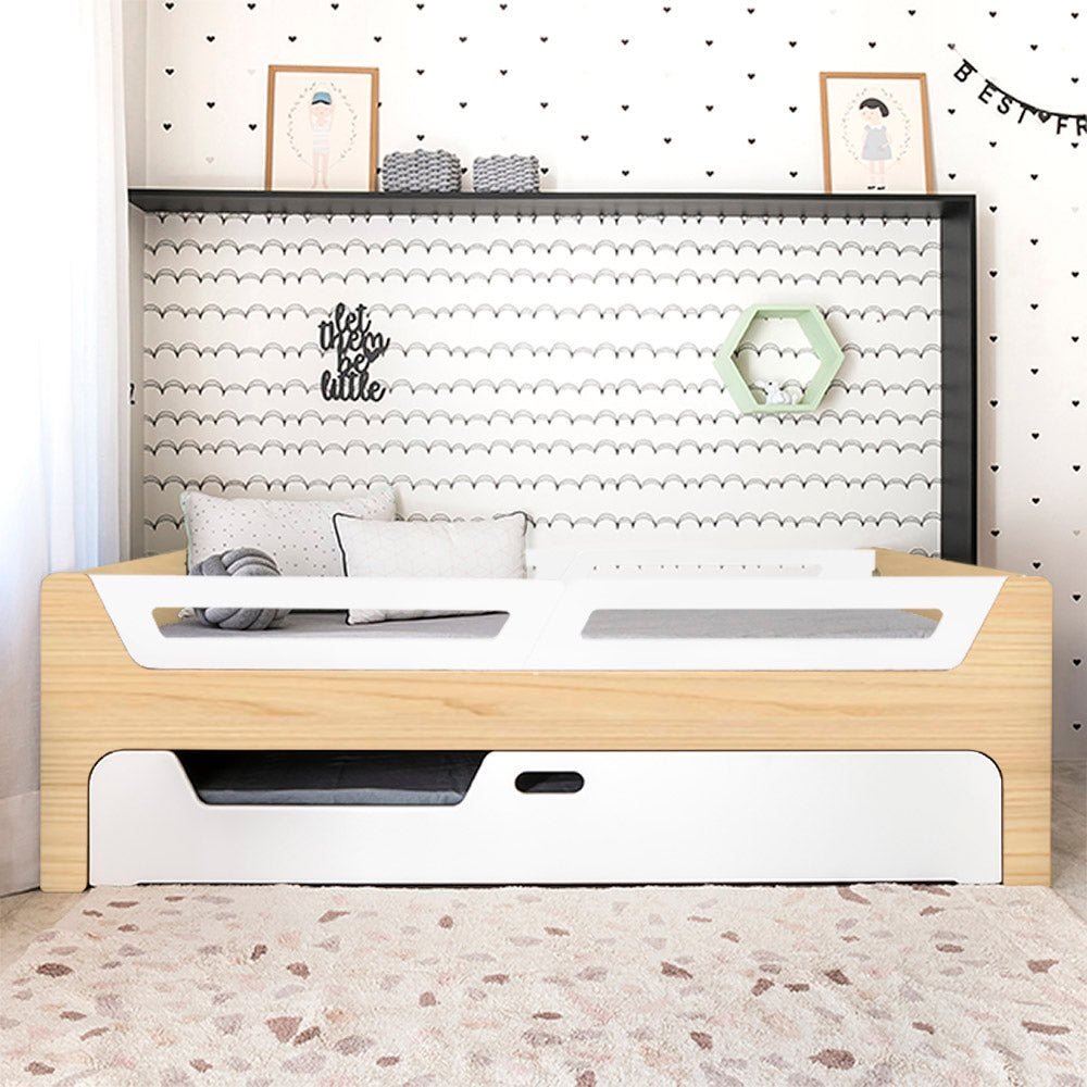 Bicama Anis | Nature | 4 Grades