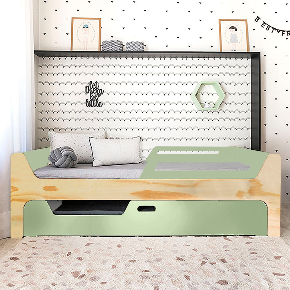 Bicama Anis | Nature | 2 Grades