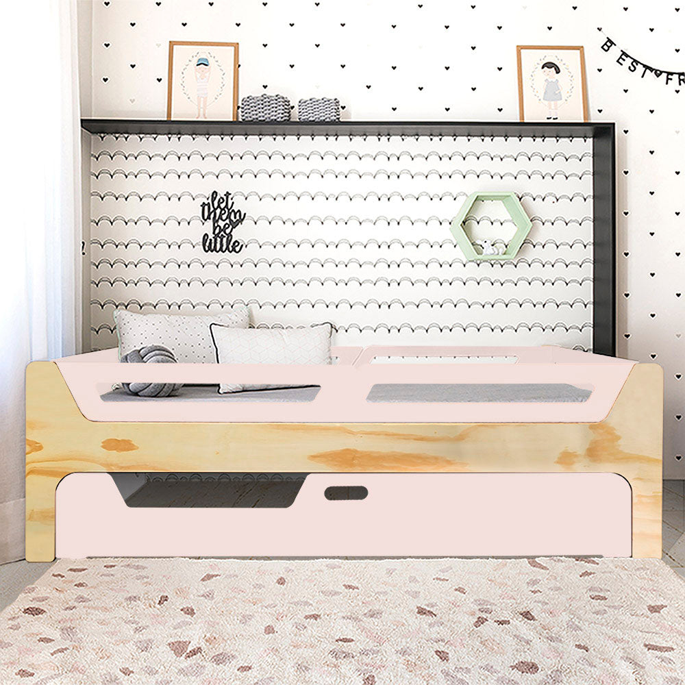 Bicama Anis | Nature | 4 Grades