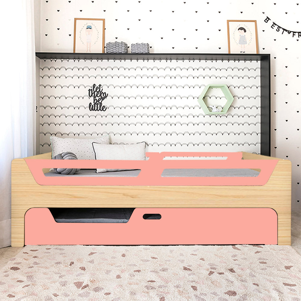 Bicama Anis | Nature | 4 Grades
