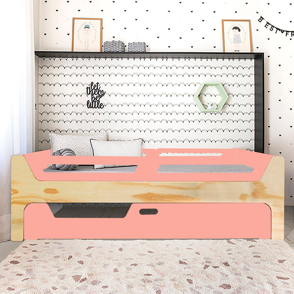 Bicama Anis | Nature | 4 Grades
