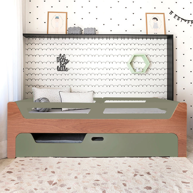 Bicama Anis | Nature | 4 Grades