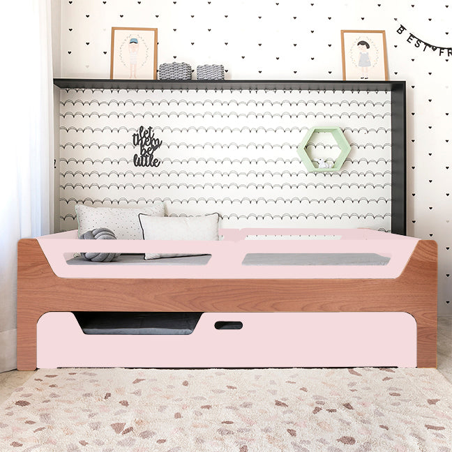 Bicama Anis | Nature | 4 Grades