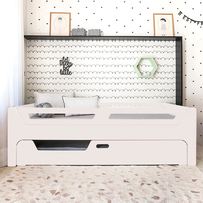 Bicama Anis | Laca | 4 Grades