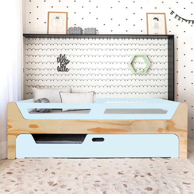 Bicama Anis | Nature | 4 Grades