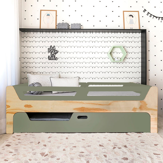 Bicama Anis | Nature | 4 Grades