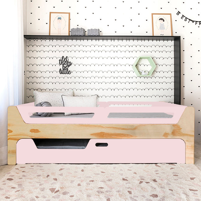 Bicama Anis | Nature | 4 Grades