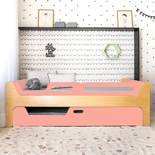 Bicama Anis | Nature | 2 Grades (1 com abertura)