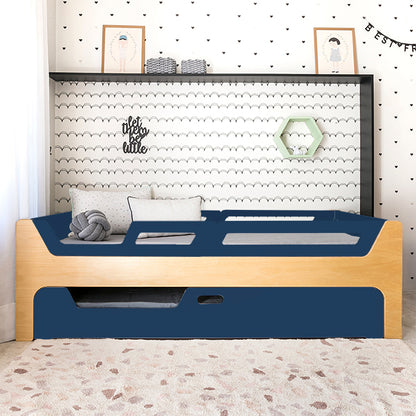 Bicama Anis | Nature | 4 Grades (1 com abertura)