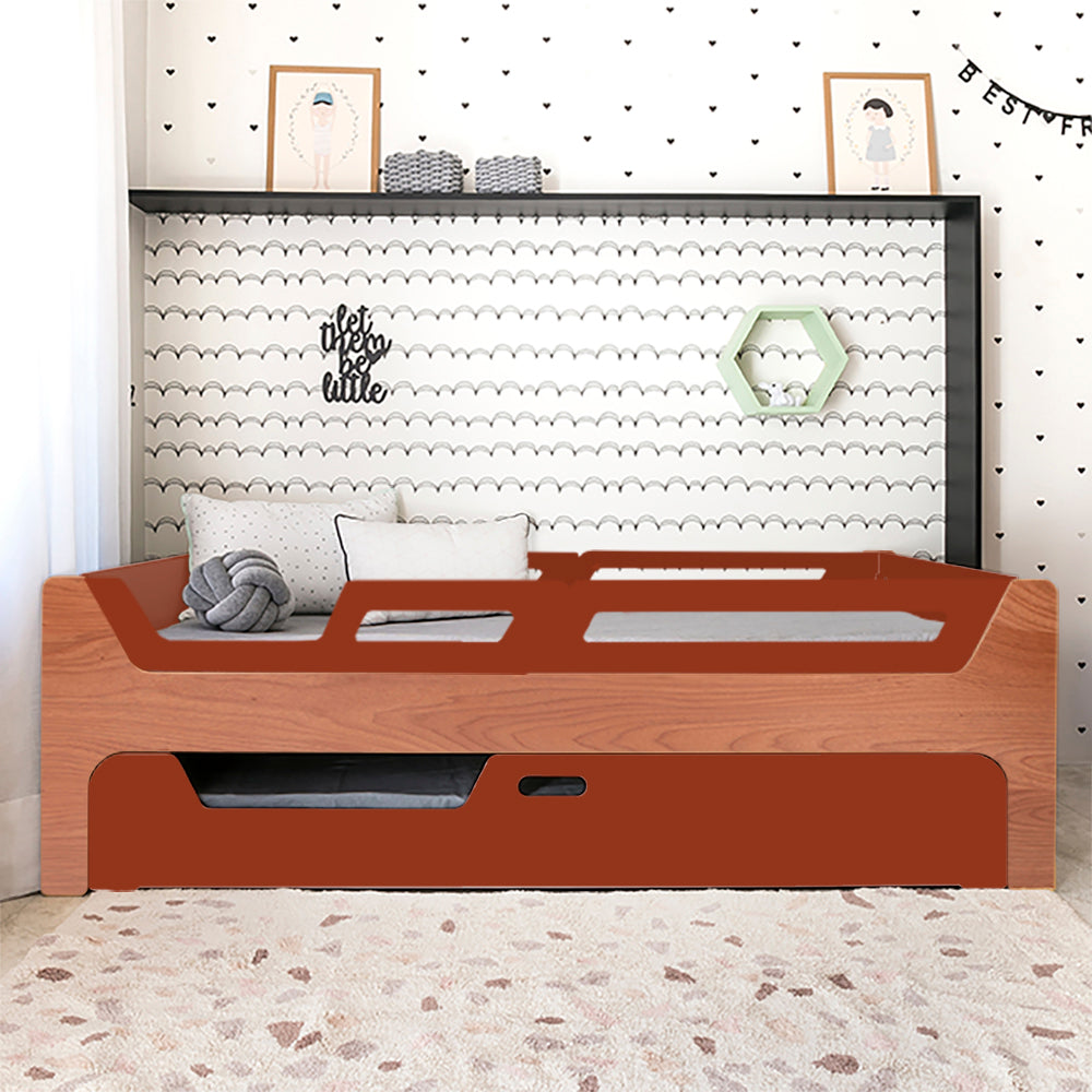 Bicama Anis | Nature | 4 Grades (1 com abertura)