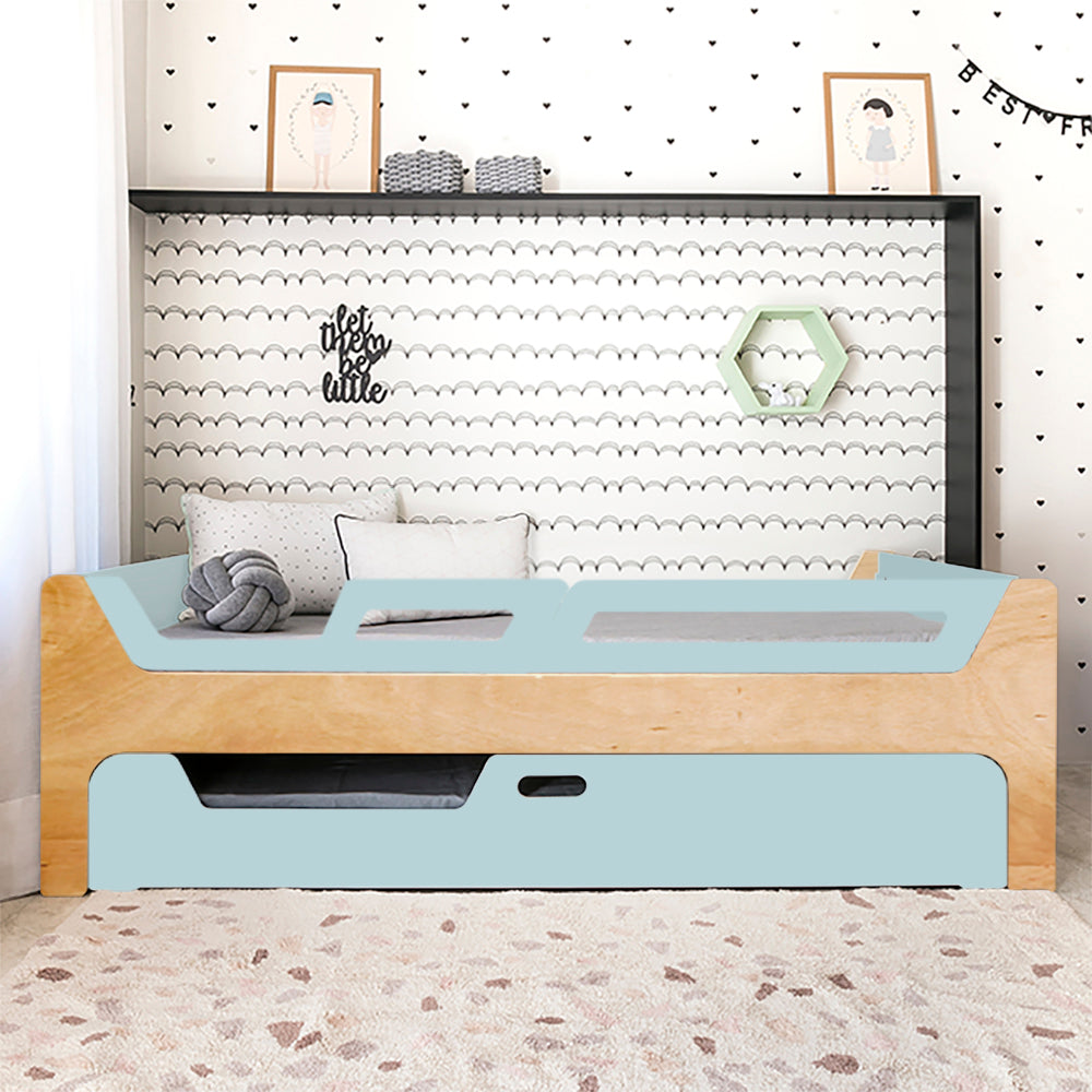 Bicama Anis | Nature | 2 Grades (1 com abertura)