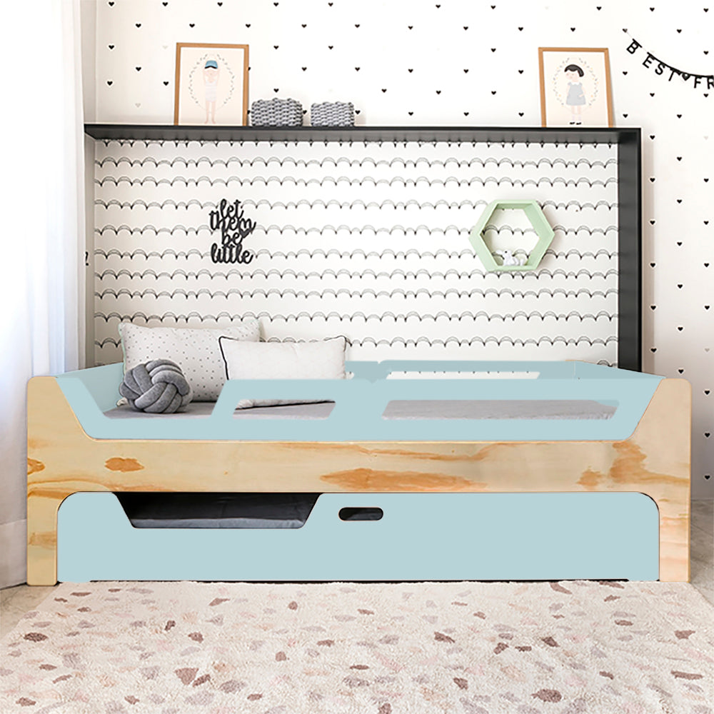 Bicama Anis | Nature | 4 Grades (1 com abertura)