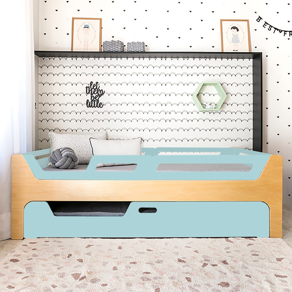 Bicama Anis | Nature | 4 Grades (1 com abertura)