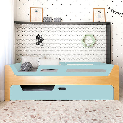 Bicama Anis | Nature | 4 Grades (1 com abertura)