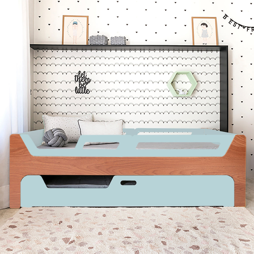 Bicama Anis | Nature | 4 Grades (1 com abertura)