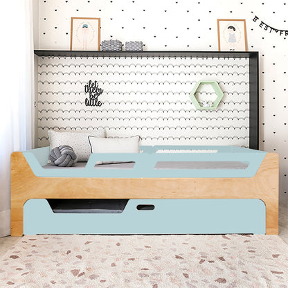 Bicama Anis | Nature | 4 Grades (1 com abertura)