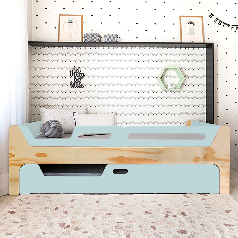 Bicama Anis | Nature | 2 Grades (1 com abertura)