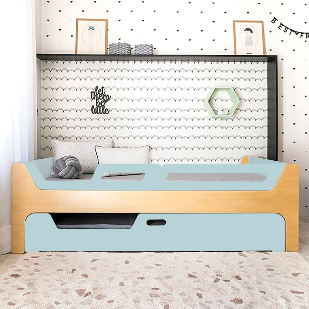 Bicama Anis | Nature | 2 Grades (1 com abertura)