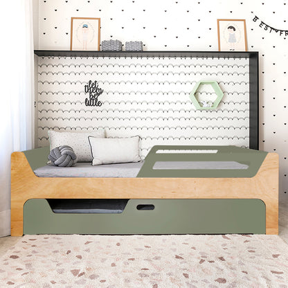 Bicama Anis | Nature | 2 Grades