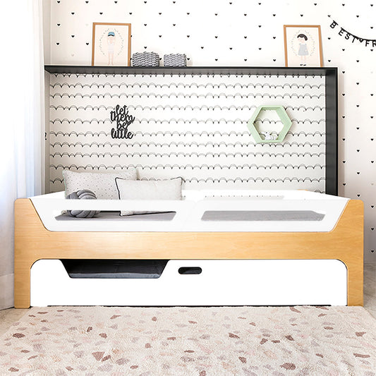Bicama Anis | Nature | 4 Grades
