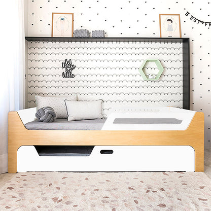 Bicama Anis | Nature | 2 Grades
